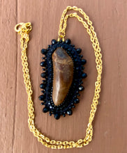 Load image into Gallery viewer, Fossilized Walrus/ivory tooth necklace