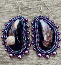 Load image into Gallery viewer, Mussels Mytilus with barnacle
