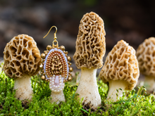 Load image into Gallery viewer, Morels
