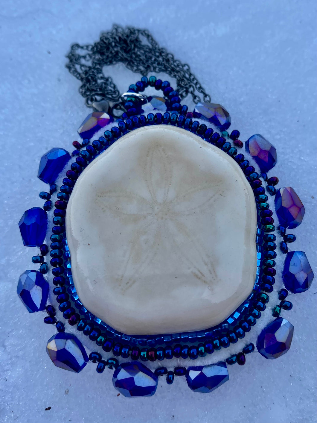 Sand dollar-Sea Biscuit necklace