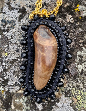 Load image into Gallery viewer, Fossilized Walrus/ivory tooth necklace
