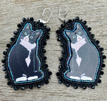 Load image into Gallery viewer, Black and white tuxedo cats
