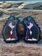 Load image into Gallery viewer, Black and white tuxedo cats
