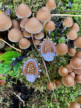 Load image into Gallery viewer, Morels
