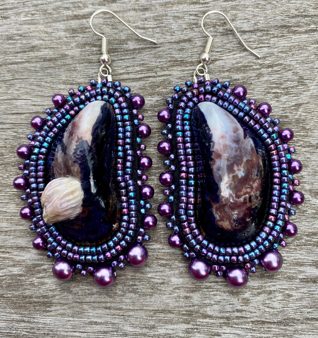 Mussels Mytilus with barnacle