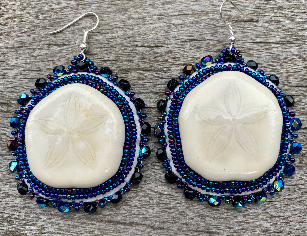 Sand dollar/sea biscuits with salmon skin backing